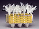 "Vacancy: Homage to an Empty Nest" Basket With Hidden Egg
&copy; Pam Thomford
$1,430.