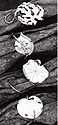 Top to Bottom:
Watermelon Leaf Napkin Ring: $358.
Money Plant Napkin Ring: $308.
Nasturtium Napkin Ring: $272.
Sea Grape Napking Ring: $200.
&copy; Robyn Nichols