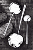 Sea Grape Leaves Small Serving Spoon: $793.
Sea Grape Leaves Large Serving Spoon: $872.
Sea Grape Leaves Cereal Spoon: On commission
&copy; Robyn Nichols