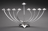 Menorah
&copy; Raychel Wengenroth
$5,000.