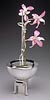 Orchid Vase
&copy; Thomas P. Muir
$5,000.
